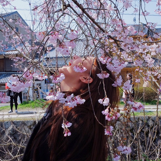 โดนอีก ดาราแก๊งฮอร์โมน โพสต์ภาพจับกิ่งซากุระ ทั้งที่ญี่ปุ่นเขาห้าม !!