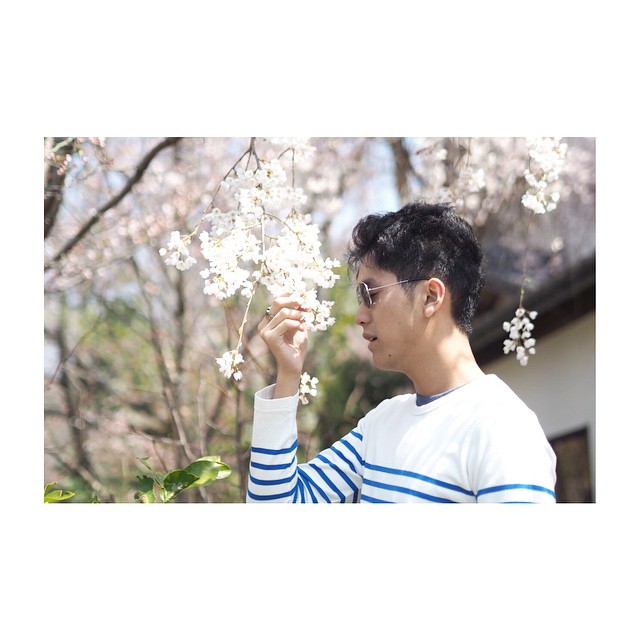 โดนอีก ดาราแก๊งฮอร์โมน โพสต์ภาพจับกิ่งซากุระ ทั้งที่ญี่ปุ่นเขาห้าม !!