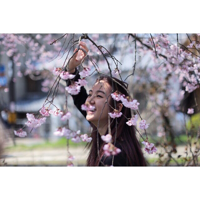 โดนอีก ดาราแก๊งฮอร์โมน โพสต์ภาพจับกิ่งซากุระ ทั้งที่ญี่ปุ่นเขาห้าม !!