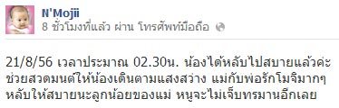 น้องโมจิ เสียชีวิตแล้ว