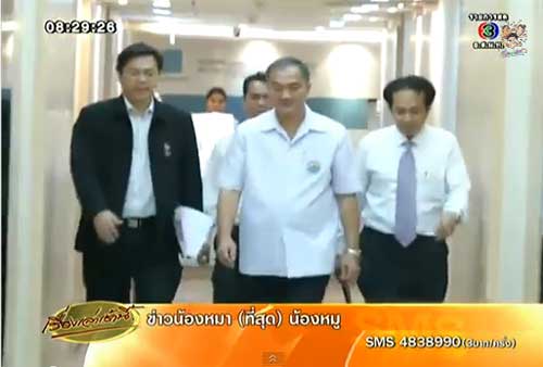 ข่าวอุ้มบุญน้องแกมมี่ 