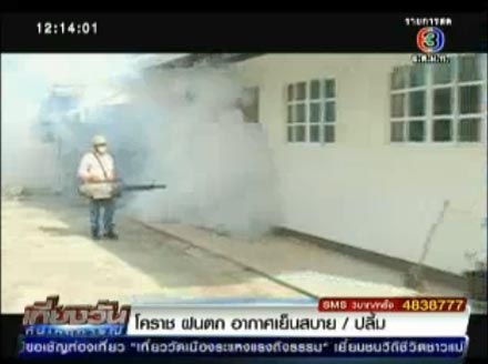ไข้เลือดออก