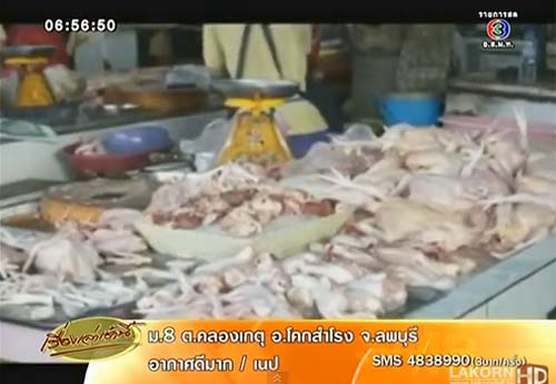 ไก่ทาสียอมผ้า ขายตามตลาดสด ระบาดหนักในภาคใต้