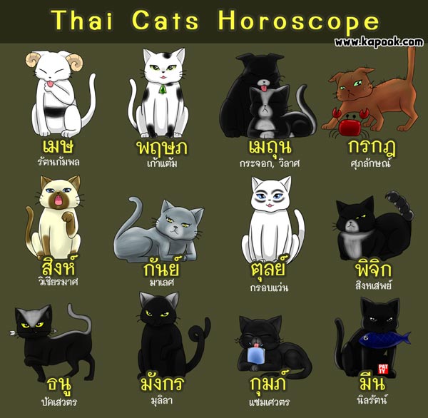 ดูดวงไพ่ยิปซี 12 ราศี ประจำวันที่ 5 - 11 พฤษภาคม 2557