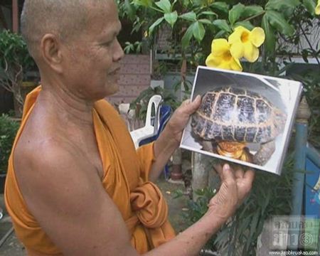 พบเต่าประหลาด มีลายคล้ายหลวงพ่อโตบนกระดอง