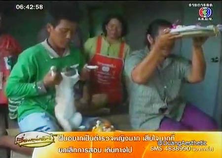 แมวประหลาด ออกลูกเป็นไข่