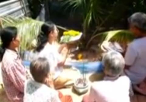 สุรินทร์สักการะต้นมะพร้าวคล้ายพญานาค (ชมคลิป)