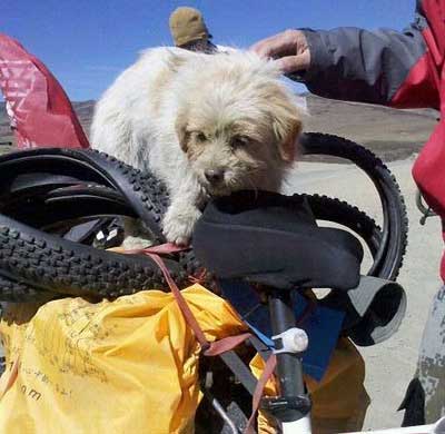 เสี่ยวซา