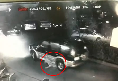 คนใจโหดขับรถทับสุนัข แม้เห็นอยู่ต่อหน้า