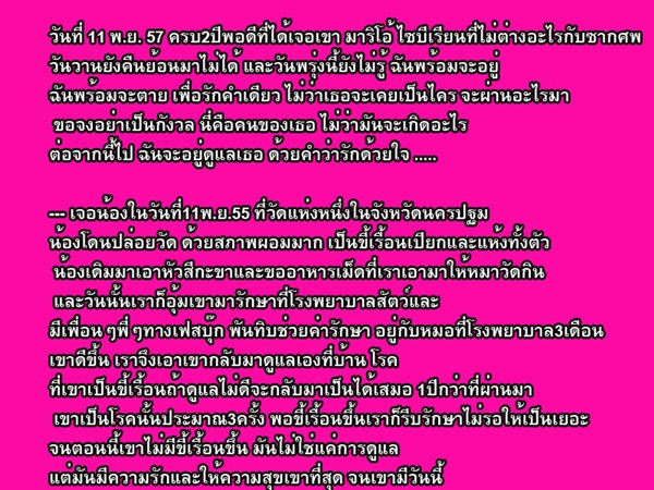 จากไซบีเรียนที่โดนปล่อยวัด 2 ปีก่อน ตอนนี้เปลี่ยนไปเพราะ 