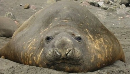 แอบดูท่านอนที่ไม่ธรรมดา ของบรรดาสัตว์โลกน่ารัก