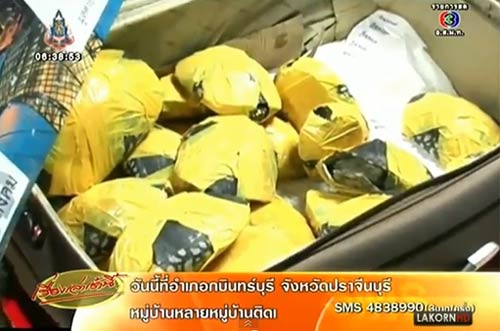 ยึดเต่าดำแฮมมิลตัน