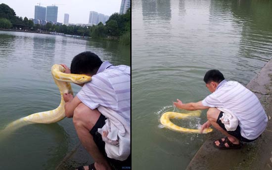 เจ้าของพางูหลามว่ายน้ำเล่นในสวนสาธารณะ