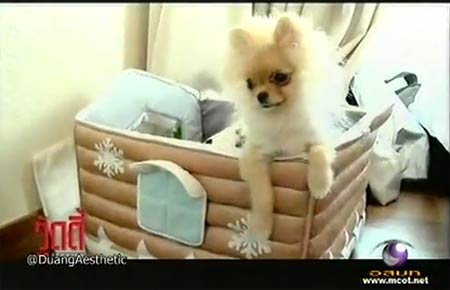 เปลือยหัวใจ ปอย ตรีชฎา - เอ็ม รักแท้มีอยู่จริง