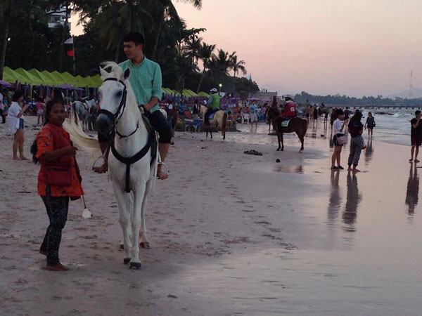 ชาวเน็ตร้อง ชายหาดหัวหินมีแต่ขี้ม้า สุดทนม้าฉี่ลงทะเล