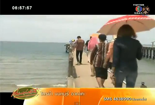 แห่ชมแมงกระพรุนถ้วยหลากสี ระยอง เตือนระวังสะพานพัง