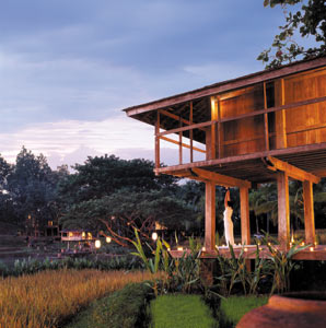 Four Seasons