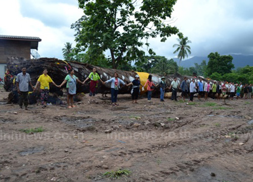 ตะเคียนยักษ์อายุกว่าร้อยปีโผล่ จ.ตาก คนแห่ขอเลขเด็ด