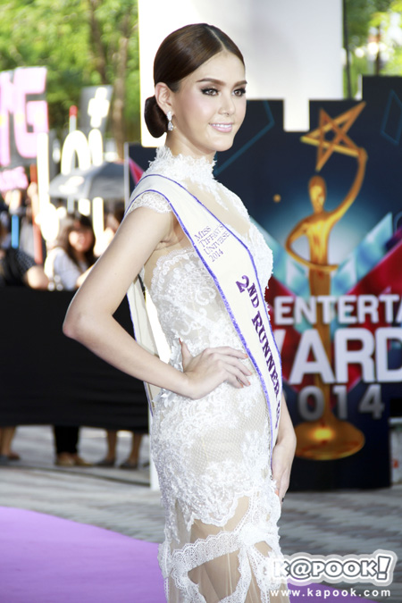 Nine Entertain Awards 2014