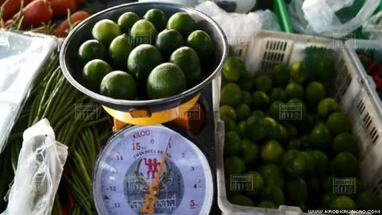 มะนาวแพง ทะลุโลละ 120 บาท ปัตตานีวิกฤต แล้งนานกว่าทุกปี