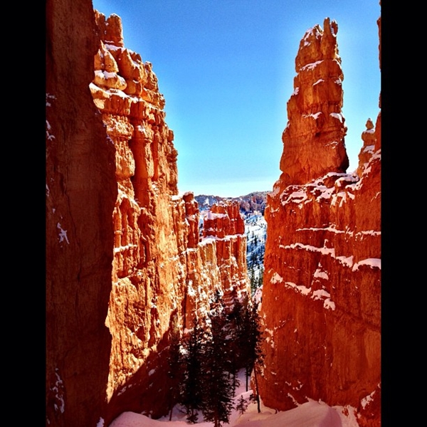 วิน ธาวิน