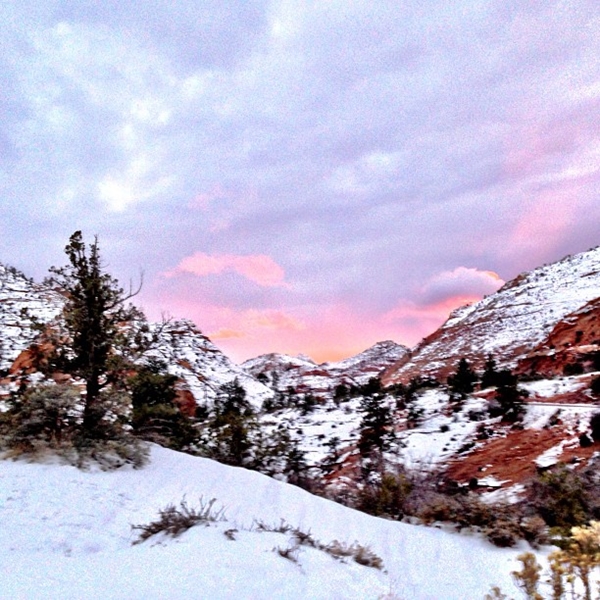 วิน ธาวิน