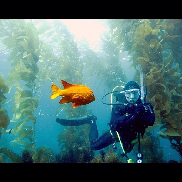 วิน ธาวิน