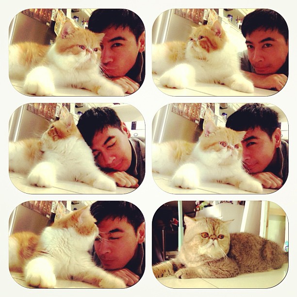  วันสบาย ๆ ของ ออย ธนา กับแก๊งแมวเหมียว น่ารักอ่ะ!