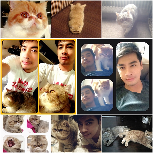  วันสบาย ๆ ของ ออย ธนา กับแก๊งแมวเหมียว น่ารักอ่ะ!