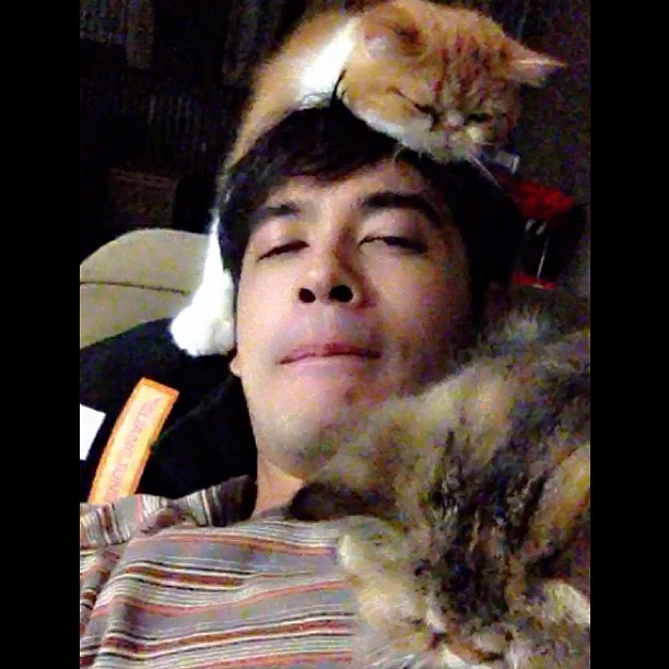  วันสบาย ๆ ของ ออย ธนา กับแก๊งแมวเหมียว น่ารักอ่ะ!