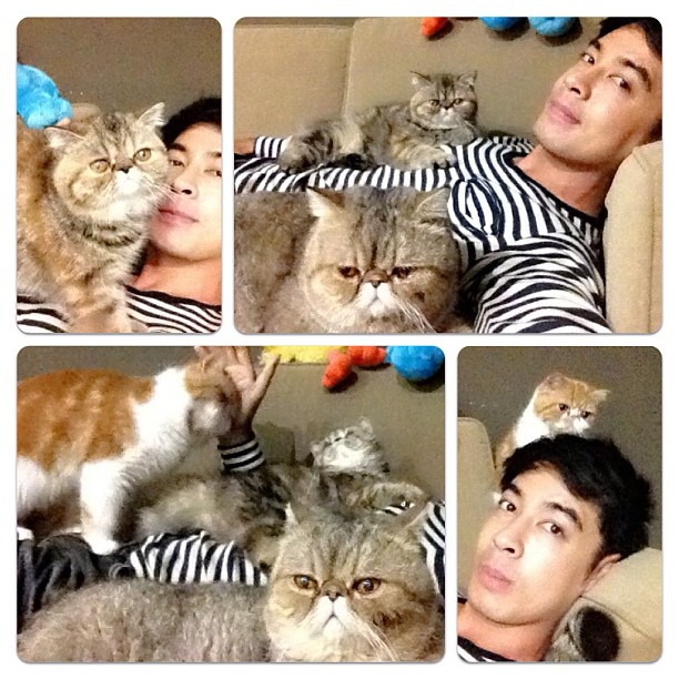  วันสบาย ๆ ของ ออย ธนา กับแก๊งแมวเหมียว น่ารักอ่ะ!