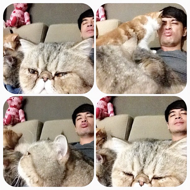  วันสบาย ๆ ของ ออย ธนา กับแก๊งแมวเหมียว น่ารักอ่ะ!