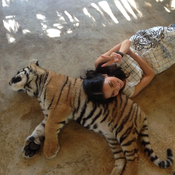 ใจเด็ด! นุ่น วรนุช นอนหนุนหลังเสือโคร่ง