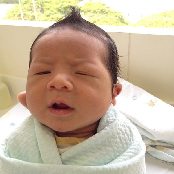 ลูกป๋อ