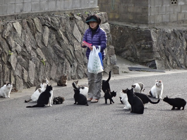 เกาะโอชิมะ