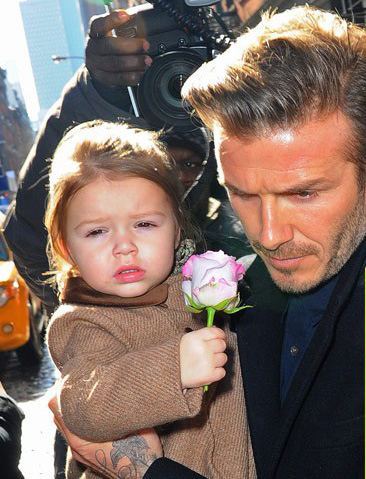 บรู๊คลิน, โรมิโอ, ครูซ, ฮาร์เปอร์ 4 พี่น้องของ เดวิด-วิคตอเรีย เบ็คแฮม