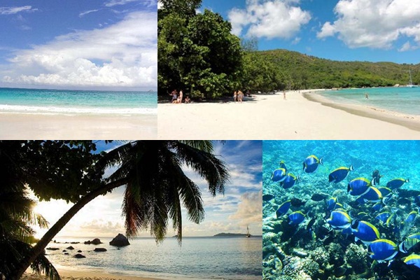 แอนเซ ลาซิโอ