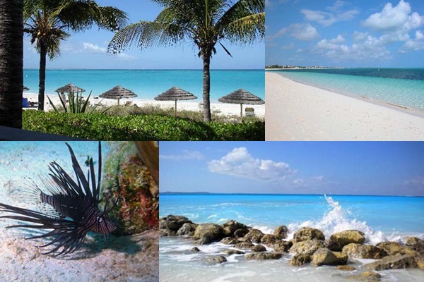 เกรซ เบย์