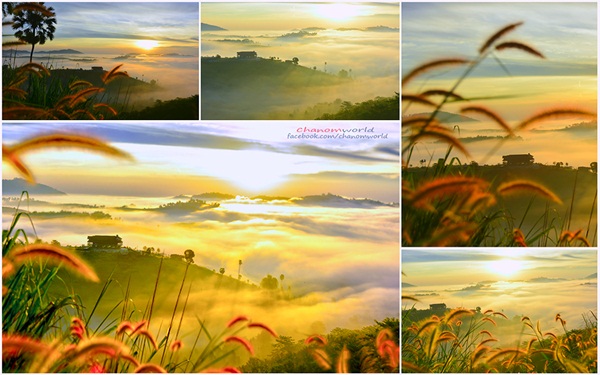 เขาค้อ-ภูทับเบิก