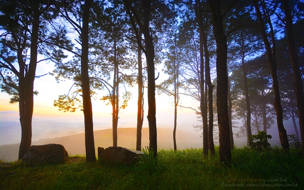 เขาค้อ-ภูทับเบิก