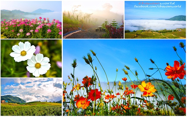 เขาค้อ-ภูทับเบิก