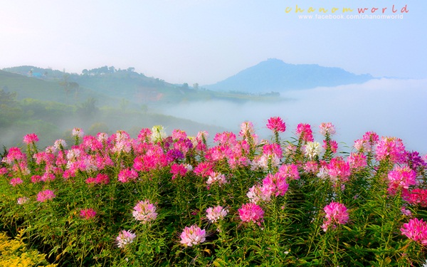 เขาค้อ-ภูทับเบิก