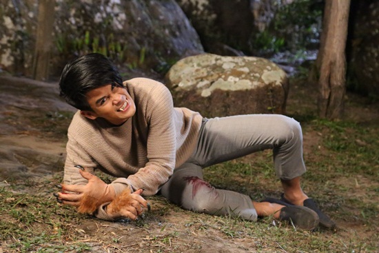 กลกิโมโน