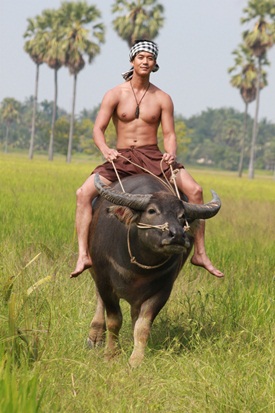 เพื่อนแพง