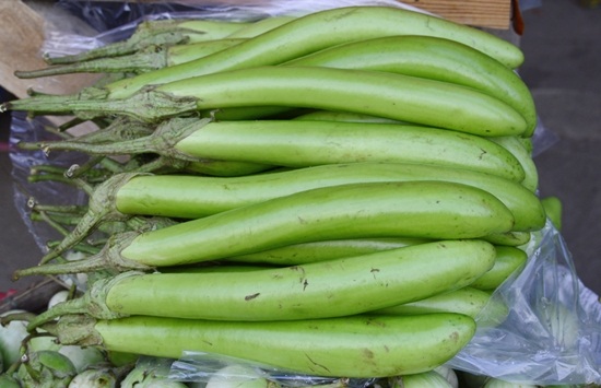 มะเขือยาว 