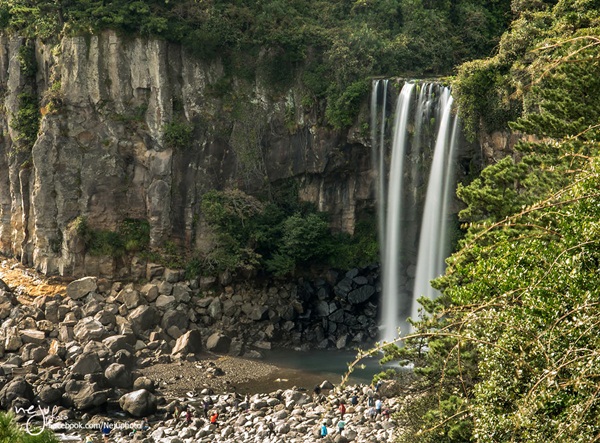 เกาะเชจู