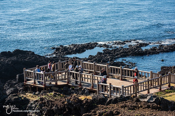 เกาะเชจู