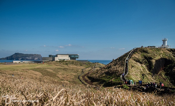 เกาะเชจู