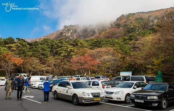 เกาะเชจู