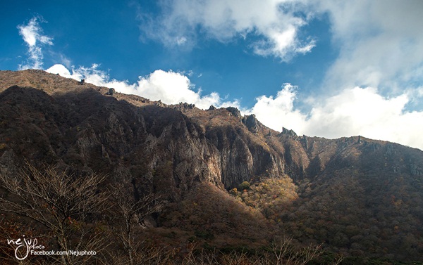 เกาะเชจู